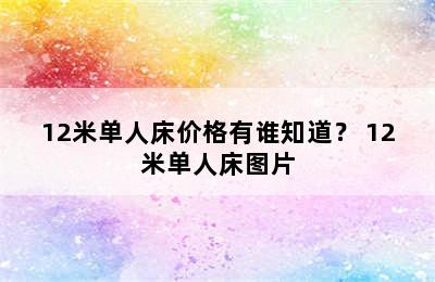 12米单人床价格有谁知道？ 12米单人床图片